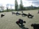 Thumbs/tn_Trainingslager2014 (33).jpg